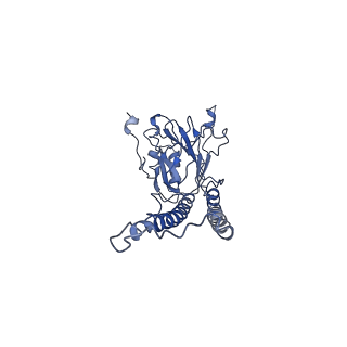 0289_6hwh_P_v1-3
Structure of a functional obligate respiratory supercomplex from Mycobacterium smegmatis
