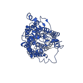 0289_6hwh_Q_v1-3
Structure of a functional obligate respiratory supercomplex from Mycobacterium smegmatis