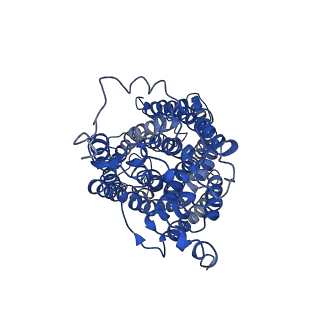 0289_6hwh_V_v1-3
Structure of a functional obligate respiratory supercomplex from Mycobacterium smegmatis