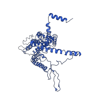 0289_6hwh_b_v1-3
Structure of a functional obligate respiratory supercomplex from Mycobacterium smegmatis