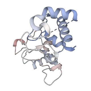 0289_6hwh_j_v1-3
Structure of a functional obligate respiratory supercomplex from Mycobacterium smegmatis