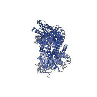 35050_8hw4_A_v1-4
Cryo-EM structure of dehydroepiandrosterone sulfate-bound human ABC transporter ABCC3 in nanodiscs