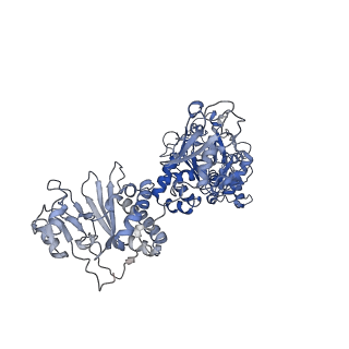 35051_8hwa_A_v1-2
D5 ATP-ADP-Apo-ssDNA IS1