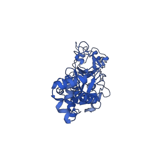 35051_8hwa_B_v1-2
D5 ATP-ADP-Apo-ssDNA IS1