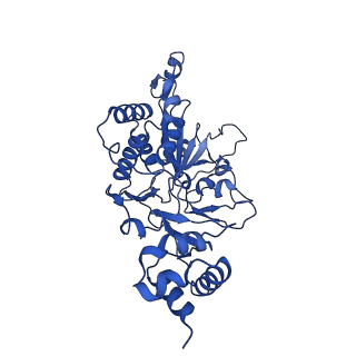 35051_8hwa_D_v1-2
D5 ATP-ADP-Apo-ssDNA IS1