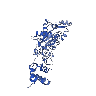 35051_8hwa_E_v1-2
D5 ATP-ADP-Apo-ssDNA IS1