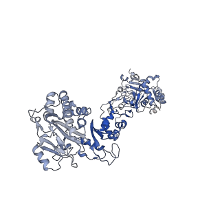 35051_8hwa_F_v1-2
D5 ATP-ADP-Apo-ssDNA IS1