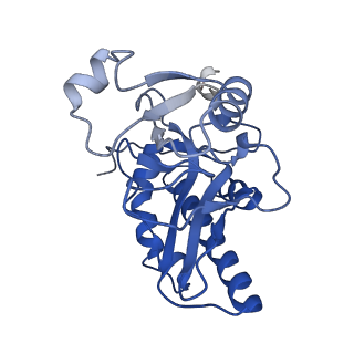 35051_8hwa_K_v1-2
D5 ATP-ADP-Apo-ssDNA IS1