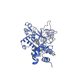 35052_8hwb_A_v1-2
D5 ATP-ADP-Apo-ssDNA IS2