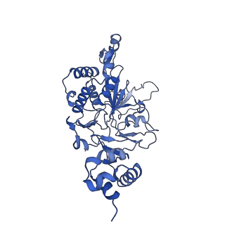 35052_8hwb_B_v1-2
D5 ATP-ADP-Apo-ssDNA IS2