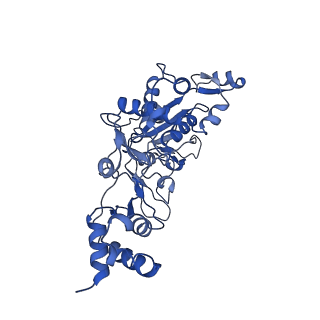 35052_8hwb_C_v1-2
D5 ATP-ADP-Apo-ssDNA IS2