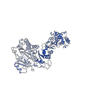 35052_8hwb_D_v1-2
D5 ATP-ADP-Apo-ssDNA IS2