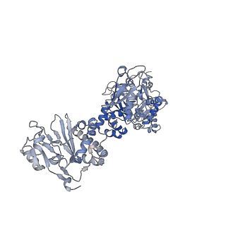 35052_8hwb_E_v1-2
D5 ATP-ADP-Apo-ssDNA IS2