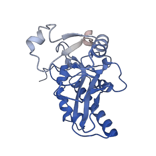 35052_8hwb_K_v1-2
D5 ATP-ADP-Apo-ssDNA IS2