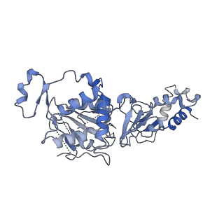 35055_8hwe_A_v1-2
Cryo-EM Structure of D5 ATP-ADP form