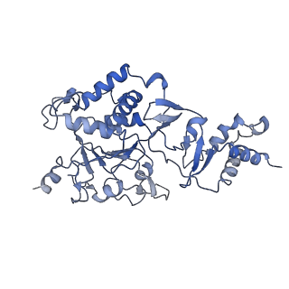 35055_8hwe_B_v1-2
Cryo-EM Structure of D5 ATP-ADP form