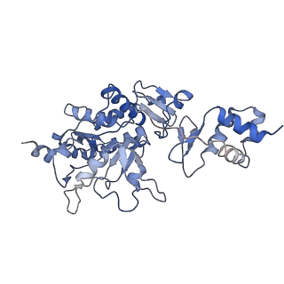 35055_8hwe_C_v1-2
Cryo-EM Structure of D5 ATP-ADP form