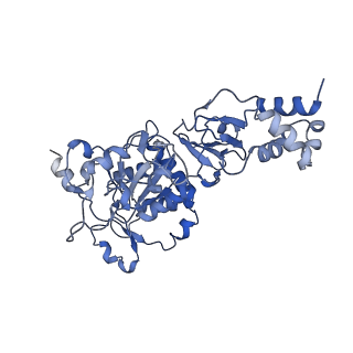 35055_8hwe_D_v1-2
Cryo-EM Structure of D5 ATP-ADP form