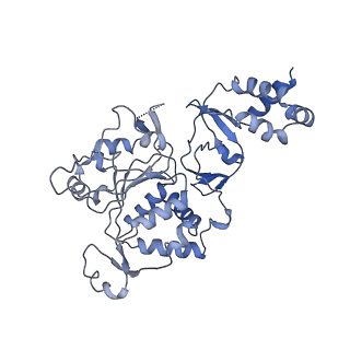 35055_8hwe_E_v1-2
Cryo-EM Structure of D5 ATP-ADP form