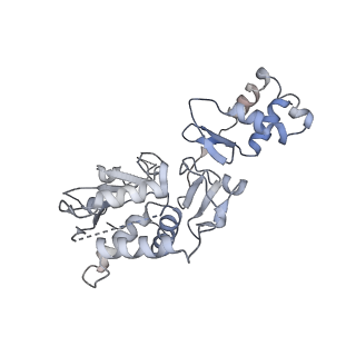 35055_8hwe_F_v1-2
Cryo-EM Structure of D5 ATP-ADP form