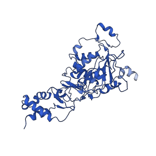 35056_8hwf_A_v1-2
Cryo-EM Structure of D5 ADP-ssDNA form