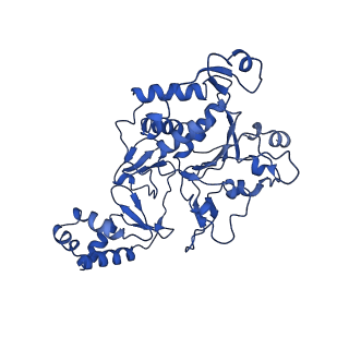35056_8hwf_B_v1-2
Cryo-EM Structure of D5 ADP-ssDNA form