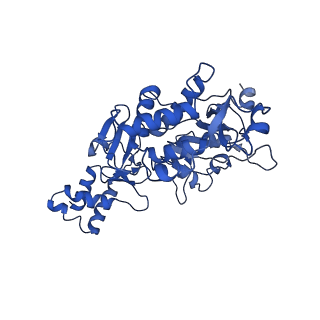 35056_8hwf_C_v1-2
Cryo-EM Structure of D5 ADP-ssDNA form