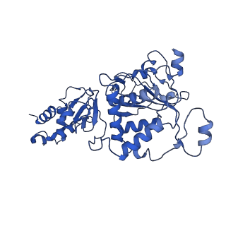 35056_8hwf_D_v1-2
Cryo-EM Structure of D5 ADP-ssDNA form
