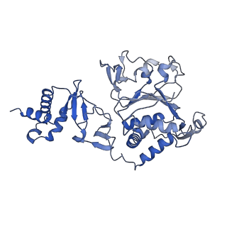35056_8hwf_E_v1-2
Cryo-EM Structure of D5 ADP-ssDNA form