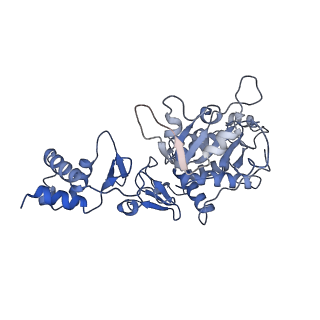 35056_8hwf_F_v1-2
Cryo-EM Structure of D5 ADP-ssDNA form