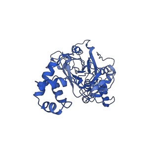 35057_8hwg_A_v1-2
D5 ATPrS-ADP-ssDNA form