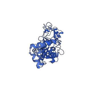 35057_8hwg_B_v1-2
D5 ATPrS-ADP-ssDNA form