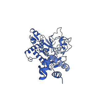 35057_8hwg_C_v1-2
D5 ATPrS-ADP-ssDNA form