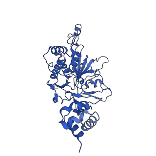 35057_8hwg_D_v1-2
D5 ATPrS-ADP-ssDNA form