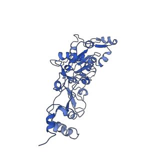 35057_8hwg_E_v1-2
D5 ATPrS-ADP-ssDNA form
