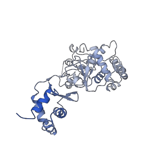 35057_8hwg_F_v1-2
D5 ATPrS-ADP-ssDNA form