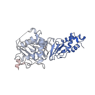 35058_8hwh_A_v1-2
Cryo-EM Structure of D5 Apo-ssDNA form