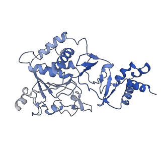 35058_8hwh_B_v1-2
Cryo-EM Structure of D5 Apo-ssDNA form