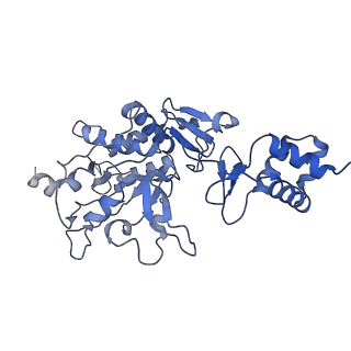 35058_8hwh_C_v1-2
Cryo-EM Structure of D5 Apo-ssDNA form