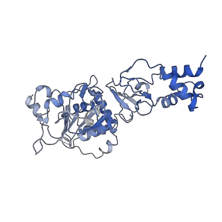 35058_8hwh_D_v1-2
Cryo-EM Structure of D5 Apo-ssDNA form