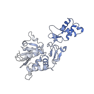 35058_8hwh_F_v1-2
Cryo-EM Structure of D5 Apo-ssDNA form
