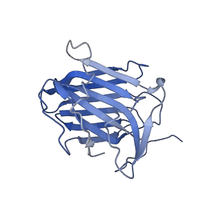 35074_8hxa_A_v1-1
Cryo-EM structure of MPXV M2 in complex with human B7.1