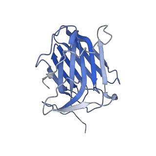 35074_8hxa_B_v1-1
Cryo-EM structure of MPXV M2 in complex with human B7.1