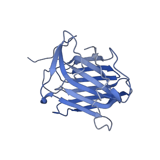 35074_8hxa_D_v1-1
Cryo-EM structure of MPXV M2 in complex with human B7.1