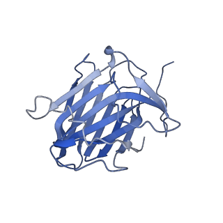 35074_8hxa_F_v1-1
Cryo-EM structure of MPXV M2 in complex with human B7.1