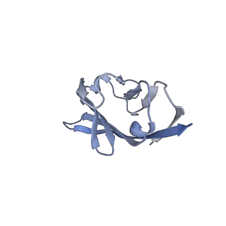 35074_8hxa_G_v1-1
Cryo-EM structure of MPXV M2 in complex with human B7.1