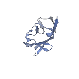 35074_8hxa_H_v1-1
Cryo-EM structure of MPXV M2 in complex with human B7.1