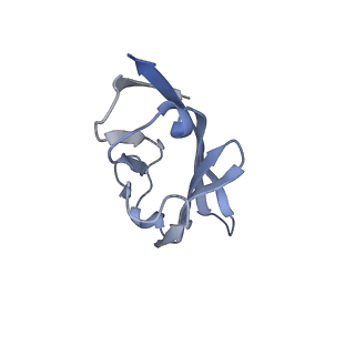 35074_8hxa_I_v1-1
Cryo-EM structure of MPXV M2 in complex with human B7.1