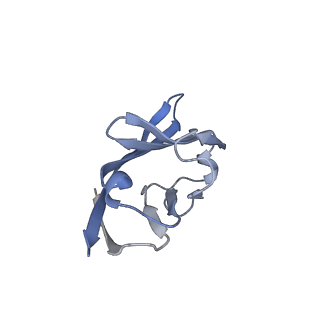 35074_8hxa_K_v1-1
Cryo-EM structure of MPXV M2 in complex with human B7.1