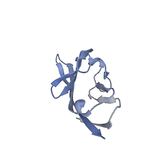 35074_8hxa_L_v1-1
Cryo-EM structure of MPXV M2 in complex with human B7.1
